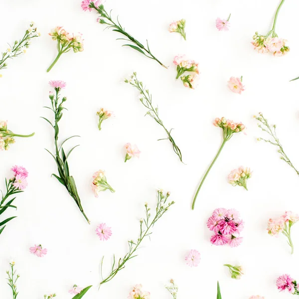 Modello floreale con fiori selvatici rosa e beige — Foto Stock