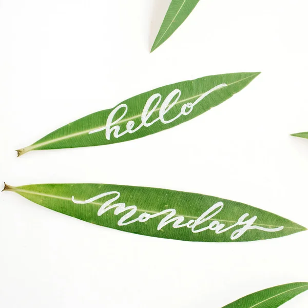 Λέξεις «Γεια σας Δευτέρα» γραμμένο σε πράσινα φύλλα — Φωτογραφία Αρχείου