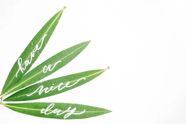 Parole "Buona giornata" scritte su foglie verdi — Foto Stock