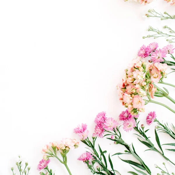 Colorful wildflowers on white background — Stock Photo, Image