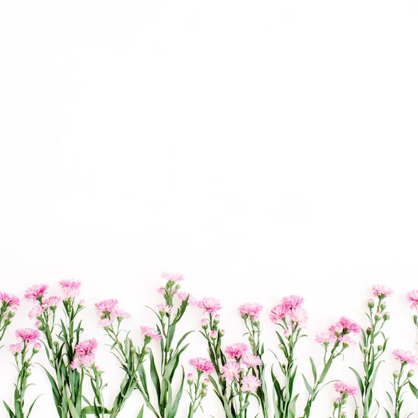 Beyaz arka plan üzerinde pembe çiçekler