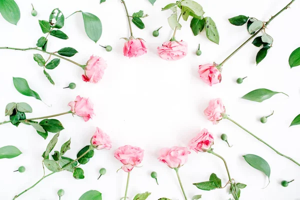 Розовые розы на белом фоне — стоковое фото