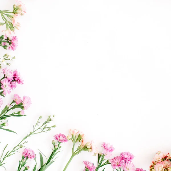 Barevné květy na bílém pozadí. — Stock fotografie