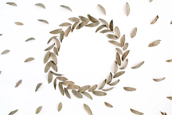 Floral pattern and round frame wreath dried leaves — Stock Photo, Image