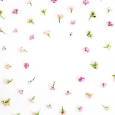 Pembe ve bej kır çiçeği tomurcukları ile çerçeve