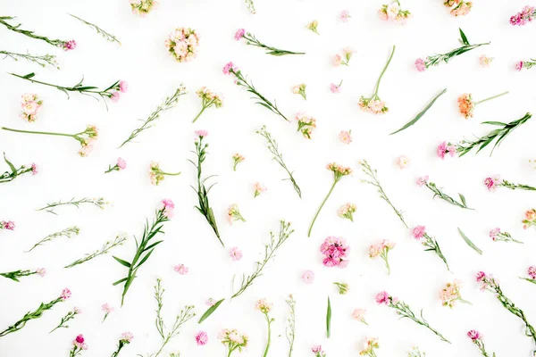 Modello floreale con fiori selvatici rosa e beige — Foto Stock