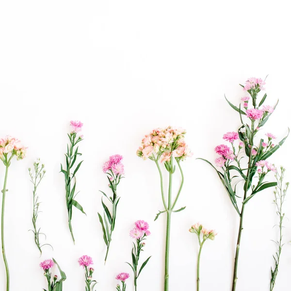 Flores silvestres coloridas sobre fondo blanco — Foto de Stock