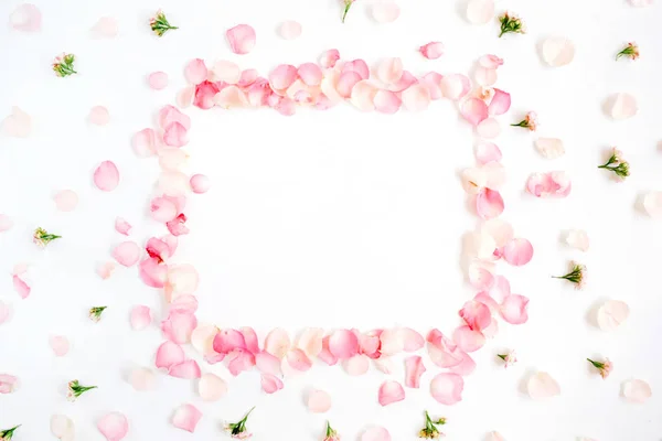Pink roses petals — Stock Photo, Image