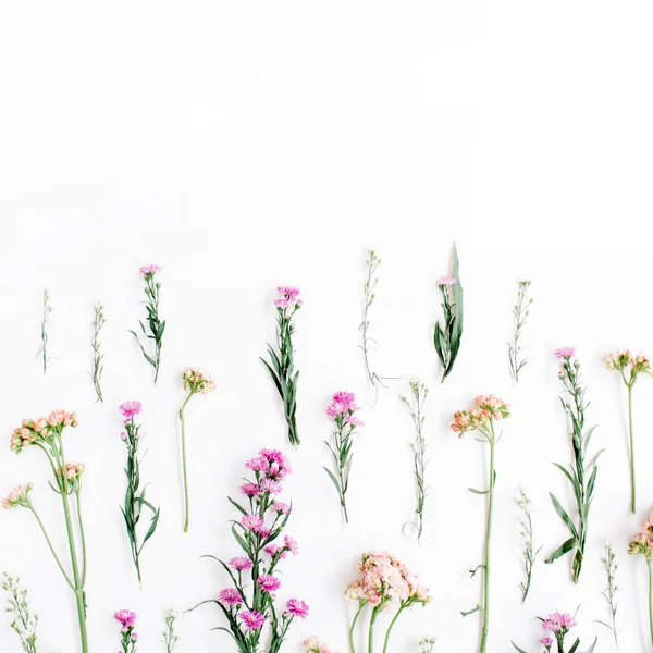 Colorful wildflowers on white background