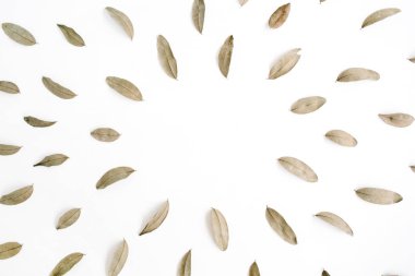 Kurutulmuş kahverengi yaprakları çerçeve 