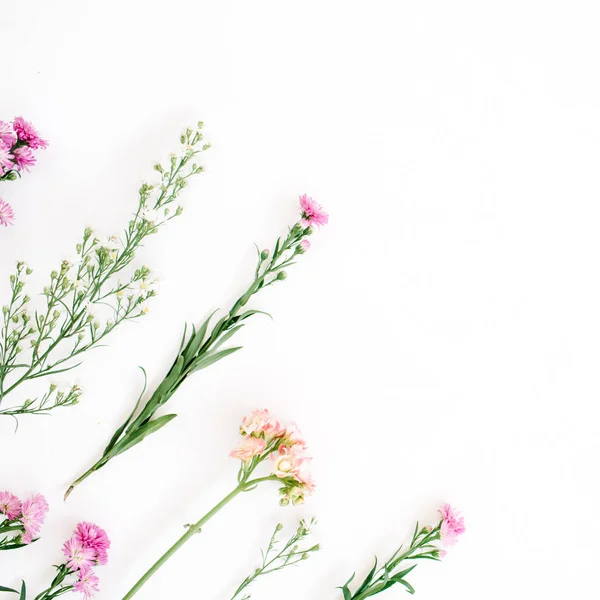 Kleurrijke wilde bloemen op witte achtergrond — Stockfoto