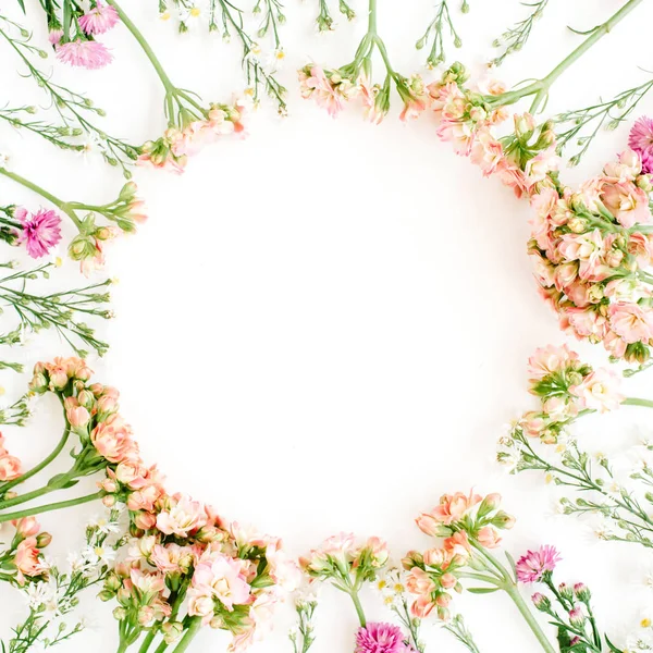 Рамка з різнокольорових диких квітів — стокове фото