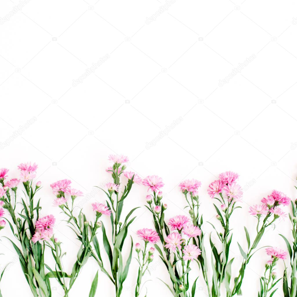 Pink wildflowers on white background