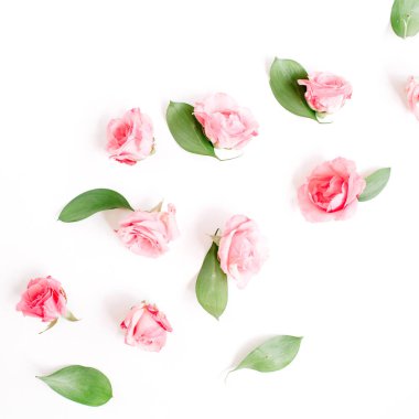 Beyaz üzerine pembe Gül tomurcukları 