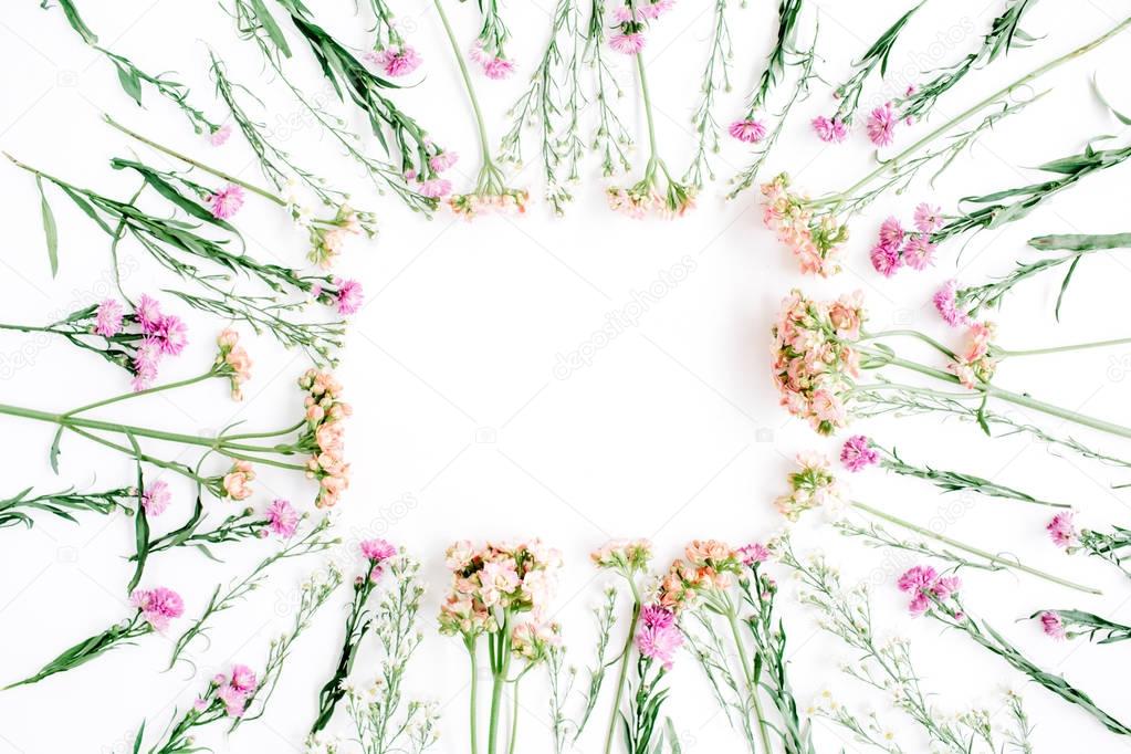 Colorful wildflowers on white background