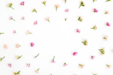 Pembe ve bej kır çiçeği tomurcukları ile çerçeve