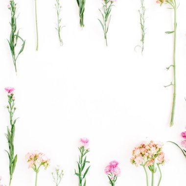 Beyaz arka plan üzerinde renkli kır çiçekleri