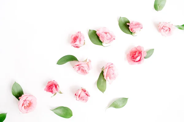 Růžové růže poupata — Stock fotografie