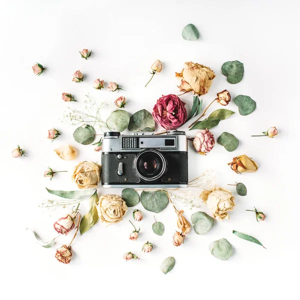 retro Vintage fotoğraf makinesi, bej gül ve yeşil yaprakları