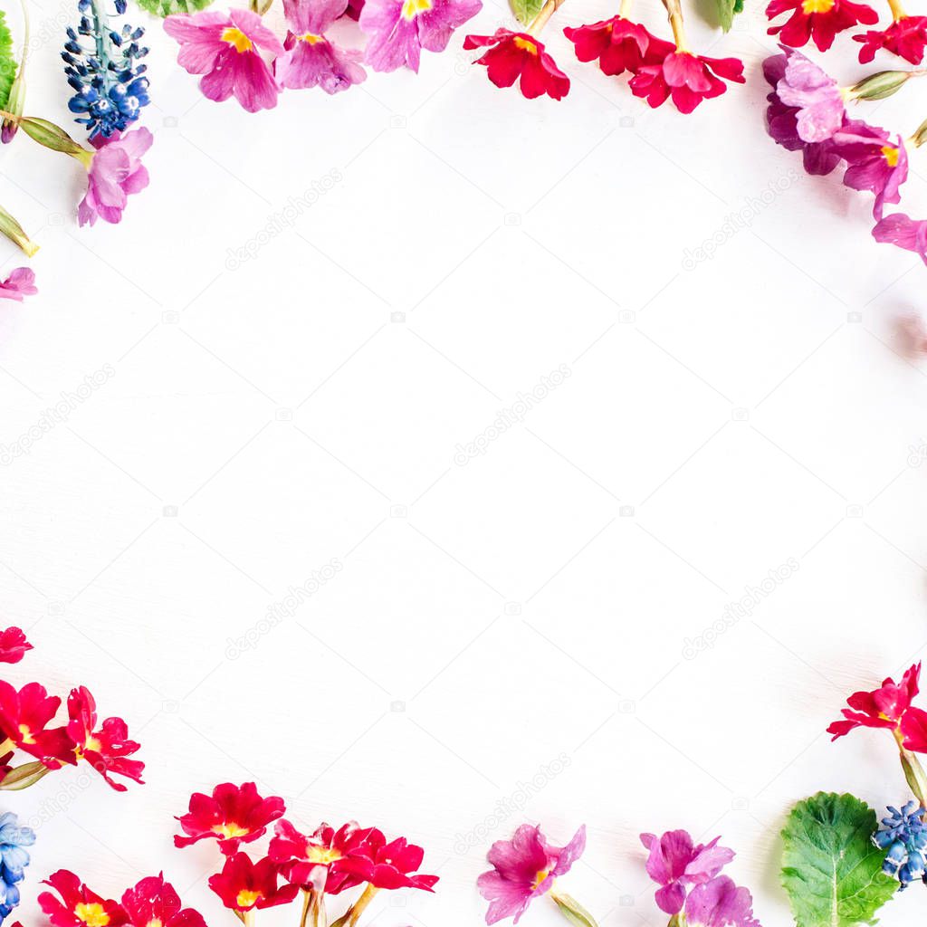 Colorful wildflowers on white background