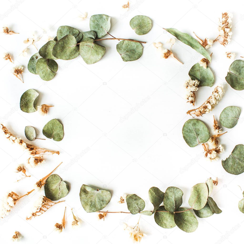 ramas de eucalipto secas y frescas 2023