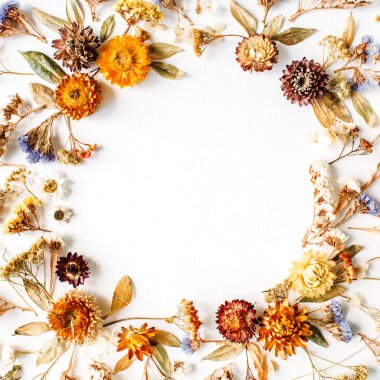 Sarı kuru çiçekler, dalları, yaprakları ve yaprakları