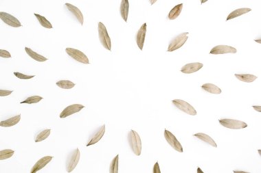 Kahverengi kurutulmuş yaprakları yapılmış yuvarlak çerçeve