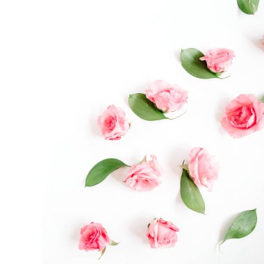 Beyaz üzerine pembe Gül tomurcukları