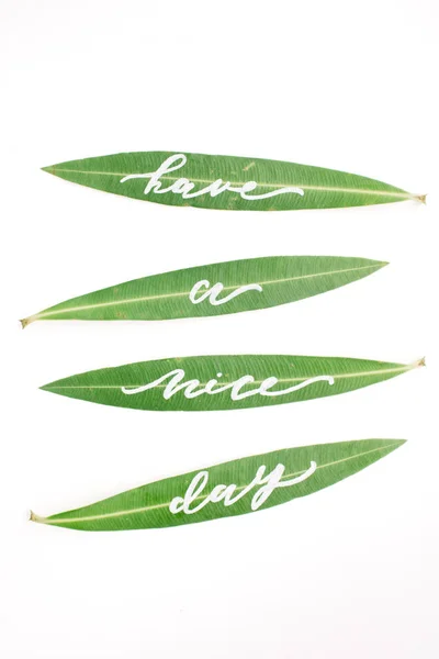 Palavras caligráficas "Tenha um bom dia" escritas em folhas verdes — Fotografia de Stock