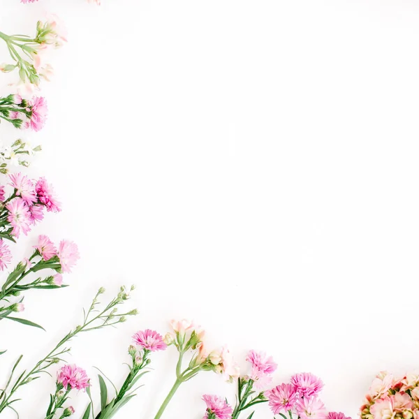 Цветные полевые цветы на белом фоне — стоковое фото