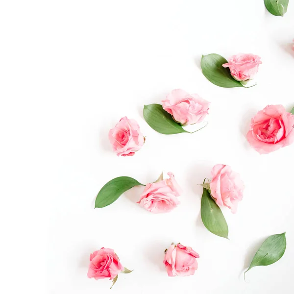 Roses roses bourgeons sur blanc — Photo