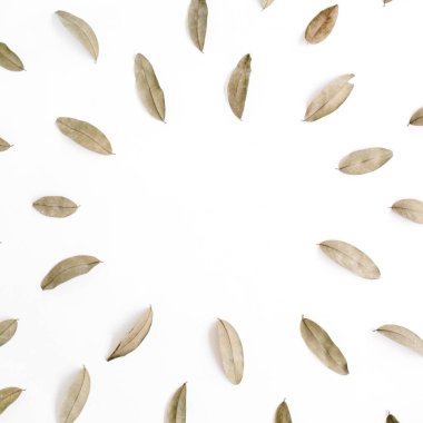 Kurutulmuş kahverengi yaprakları çerçeve