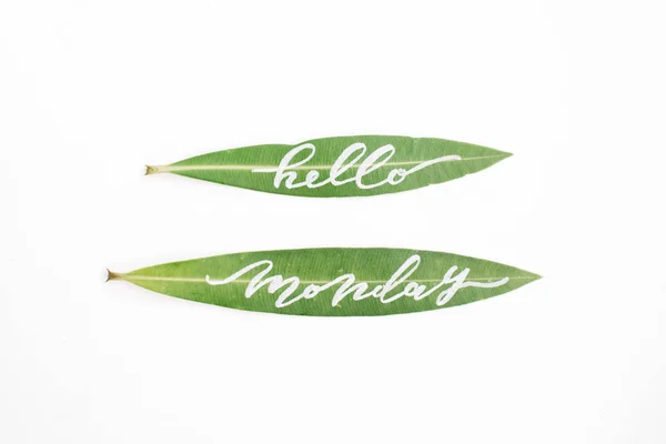 Καλλιγράφος λέξεις «Γεια Δευτέρα», γραμμένο σε πράσινα φύλλα — Φωτογραφία Αρχείου
