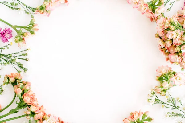 野生の花の花輪フレーム — ストック写真