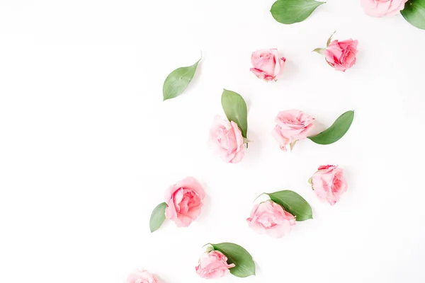 Pink roses on white background — Stock Photo, Image