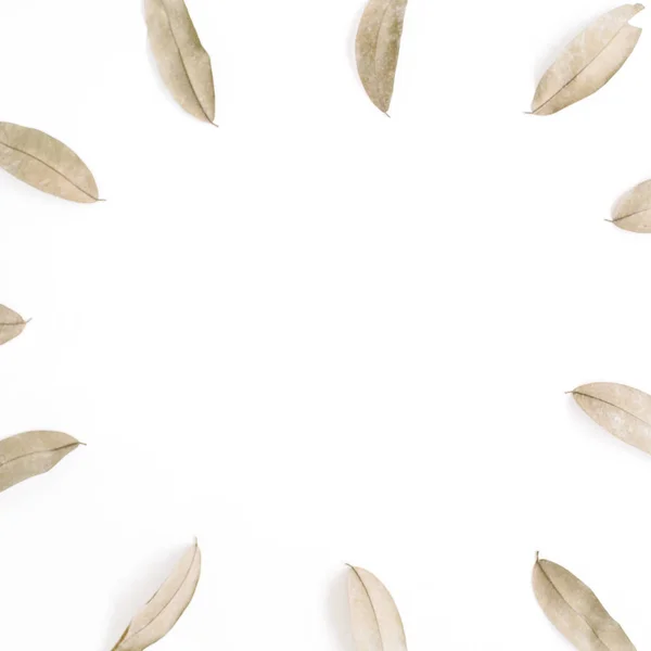 Kulatý rám vyrobený ze sušených listů hnědé — Stock fotografie