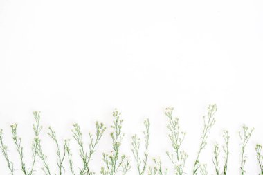 soyut çiçek arkaplanı