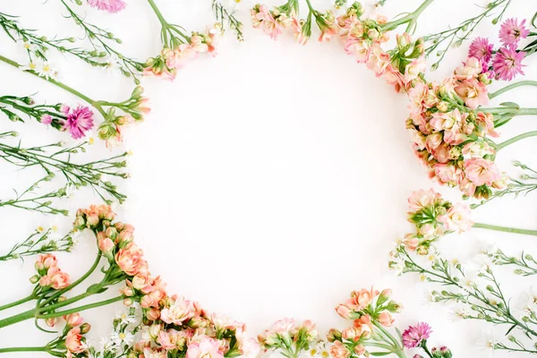 Rahmen aus Wildblumen auf weißem Hintergrund — Stockfoto