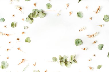 Kuru ve taze okaliptüs şube çerçeve