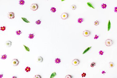 Çerçeve yaptı papatya tomurcukları, yapraklar, yaprakları