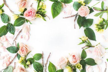 Pembe Gül, dalları, yaprakları