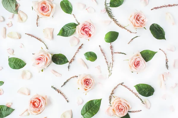 Rózsaszín rózsák, ágak, levelek — Stock Fotó