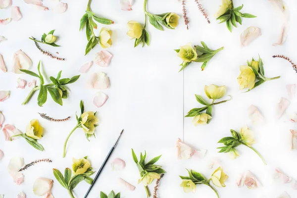 Gelbe Blüten, Äste, Blätter — Stockfoto