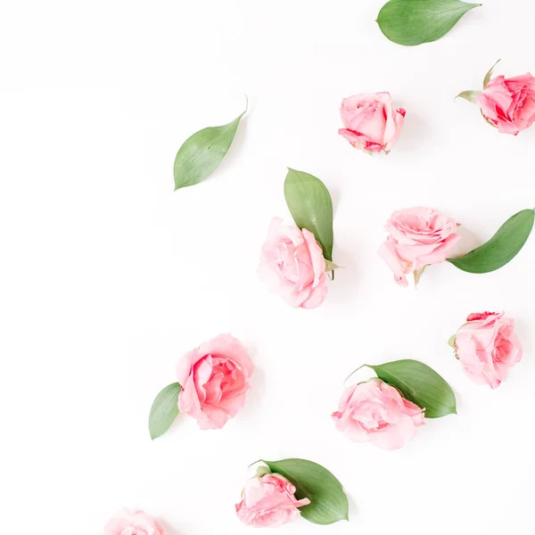 Rosas rosadas brotes sobre fondo blanco — Foto de Stock