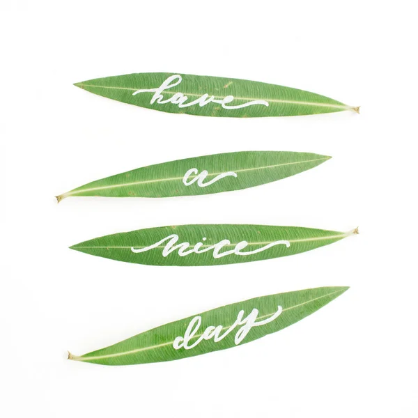 Palavras caligráficas "Tenha um bom dia" escritas em folhas verdes — Fotografia de Stock