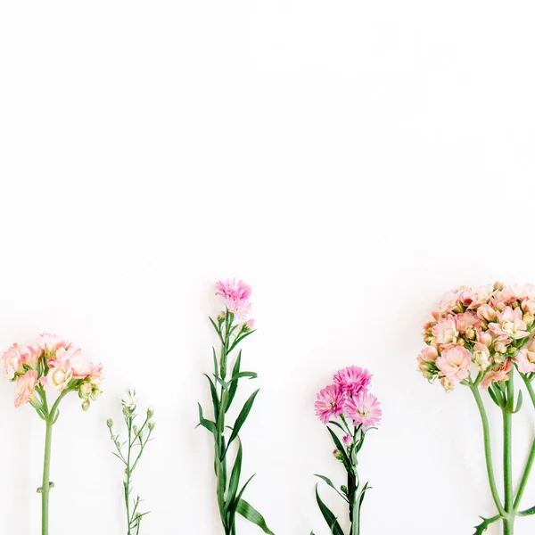Färgglada blommor på vit bakgrund — Stockfoto