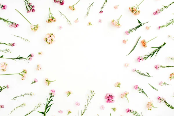 Cornice con fiori di campo rosa e beige — Foto Stock