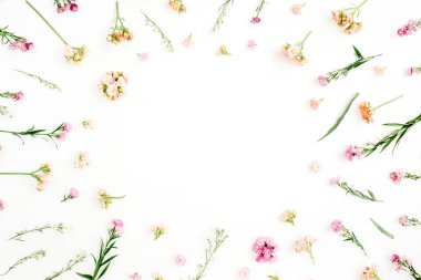 Pembe ve bej kır çiçekleri ile çerçeve