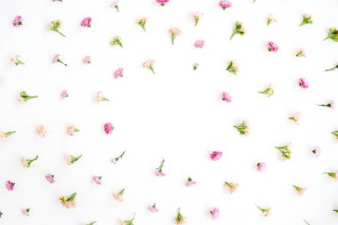 Pembe ve bej kır çiçeği tomurcukları ile çerçeve