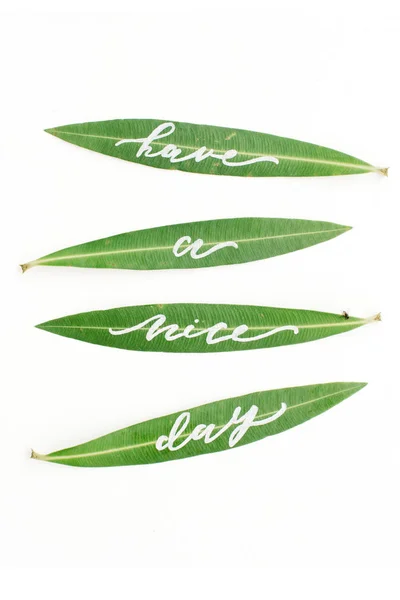 Kaligrafické slova "Přeji hezký den" napsané na zelených listech. — Stock fotografie